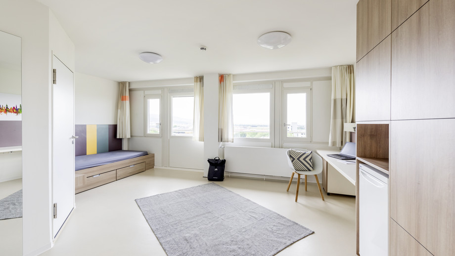 Moderne Wohnung mit Bettnische, Schreibtisch, Stuhl, Fensterbank und grauem Teppich. Einfaches Zimmer mit hellen Möbeln und integriertem Kleiderschrank.