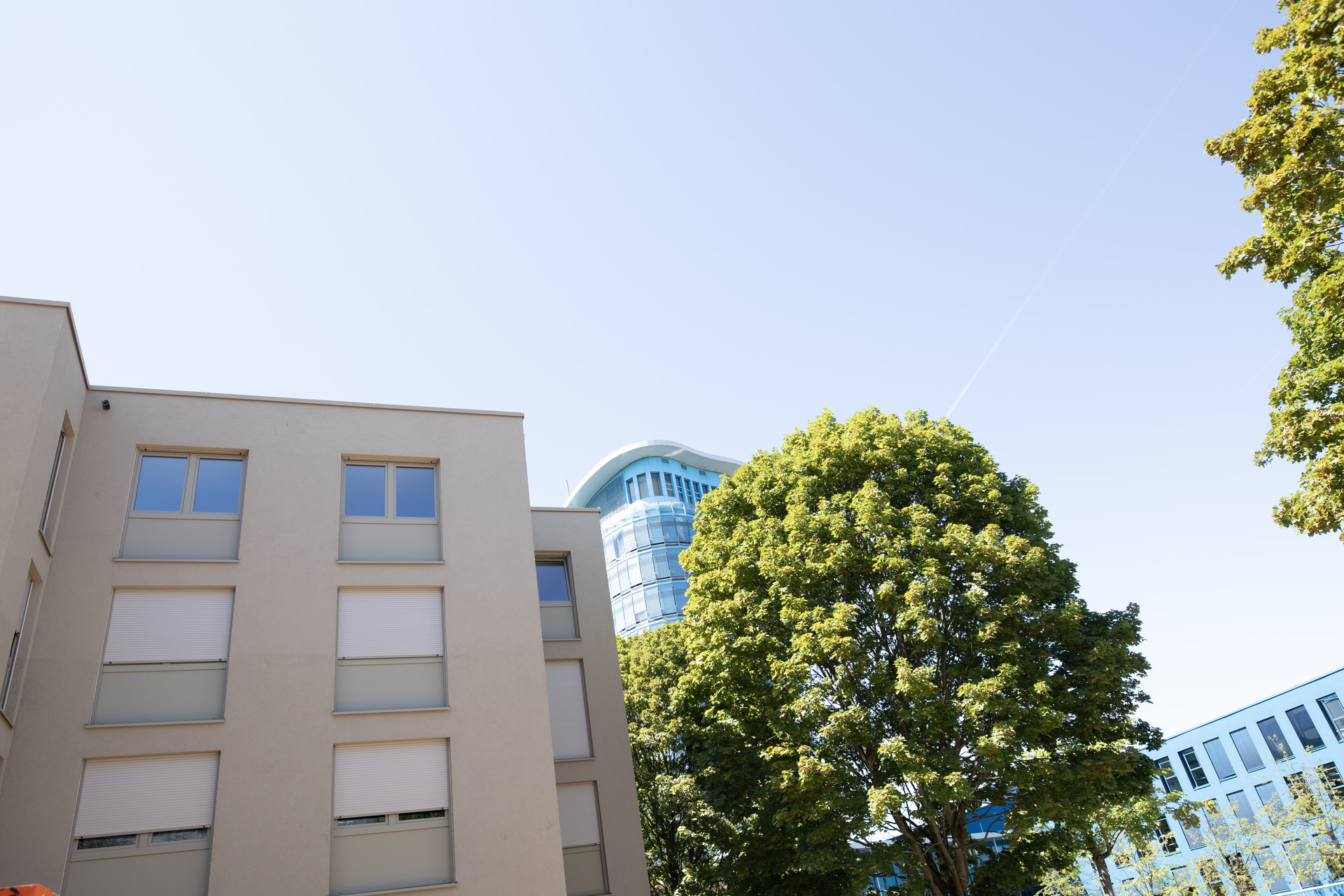 Ein mehrstöckiges Gebäude mit hellen Fenstern und geschlossenen Rollläden, daneben ein großer Baum und im Hintergrund ein moderner Bau.
